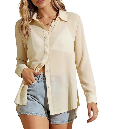 Women's Sheer Button Up Shirt Y2K Long Sleeve Lapel V Neck Mesh